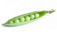 petit-pois.1202209538.jpg