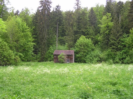 cabane.1219134751.JPG
